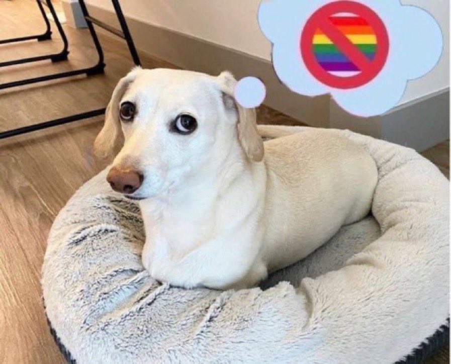 that homophobic dog meme with text:[no text]