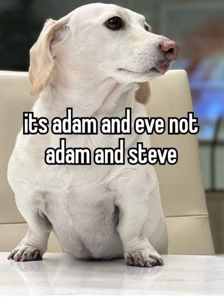 that homophobic dog meme with text:it's adam and eve not adam and steve