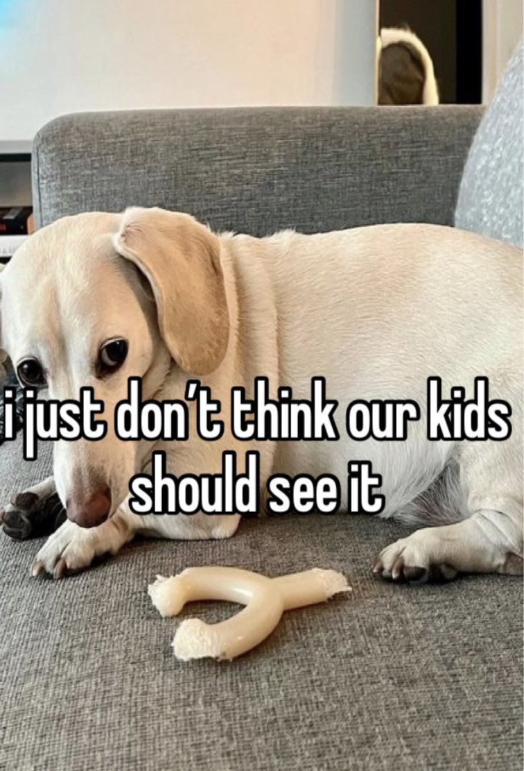 that homophobic dog meme with text:i just don't think our kids should see it