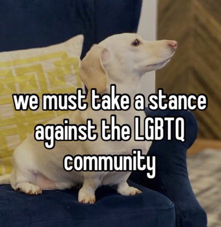 that homophobic dog meme with text:we must take a stance against the LGBTQ community