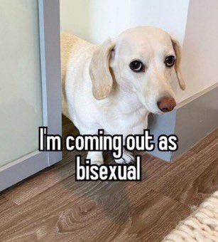 that homophobic dog meme with text:I'm coming out as bisexual