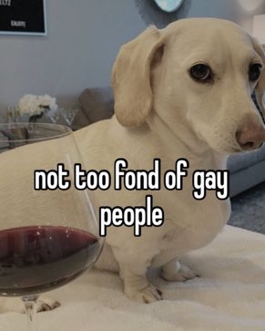 that homophobic dog meme with text:not too fond of gay people