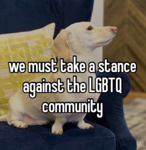 that homophobic dog meme with text:we must take a stance against the LGBTQ community