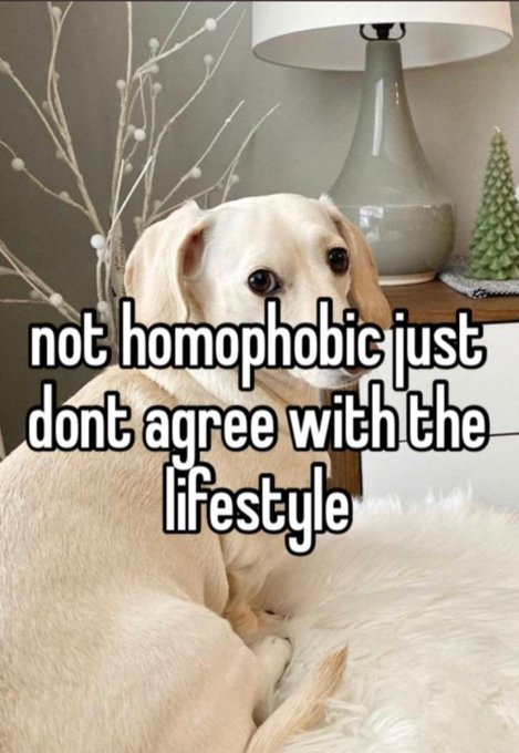 that homophobic dog meme with text:not homophobic just don't agree with the lifestyle