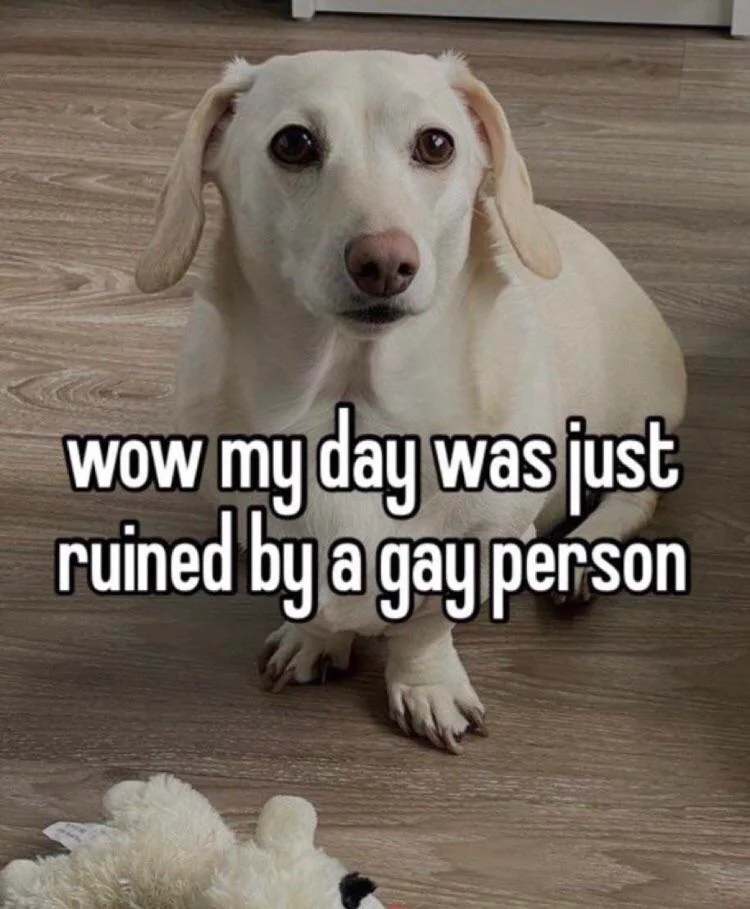 that homophobic dog meme with text:wow my day was just ruined by a gay person