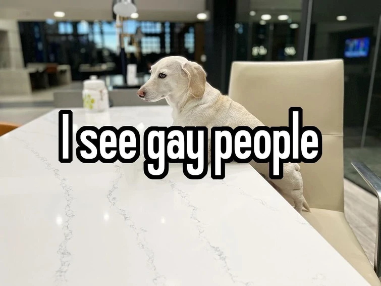 that homophobic dog meme with text:I see gay people