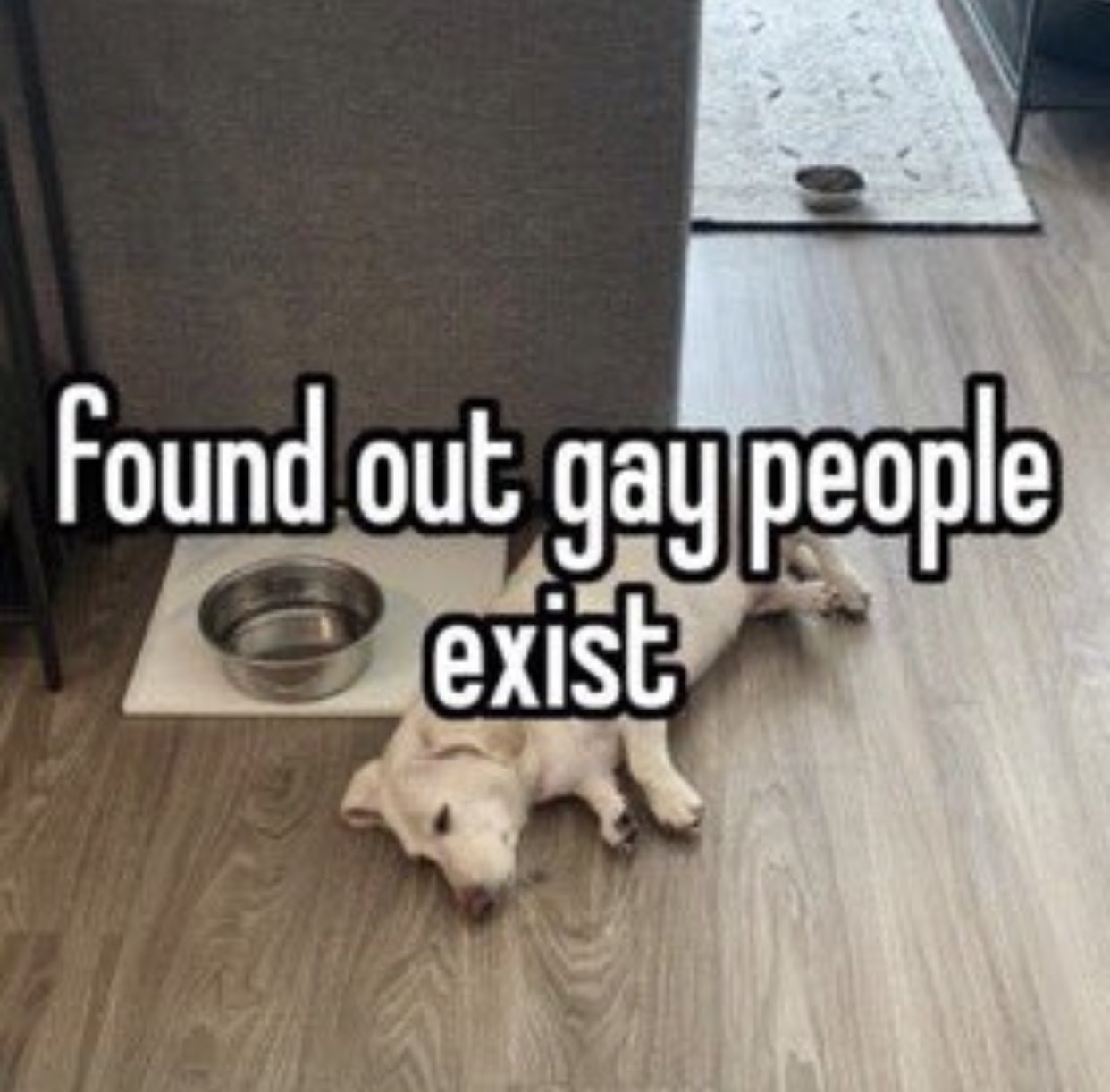that homophobic dog meme with text:found out gay people exist