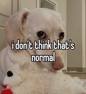 that homophobic dog meme with text:i don't think that's normal