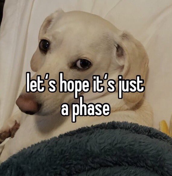 that homophobic dog meme with text:let's hope it's just a phase