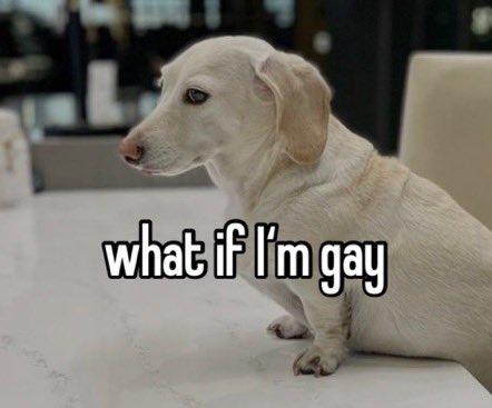 that homophobic dog meme with text:what if I'm gay